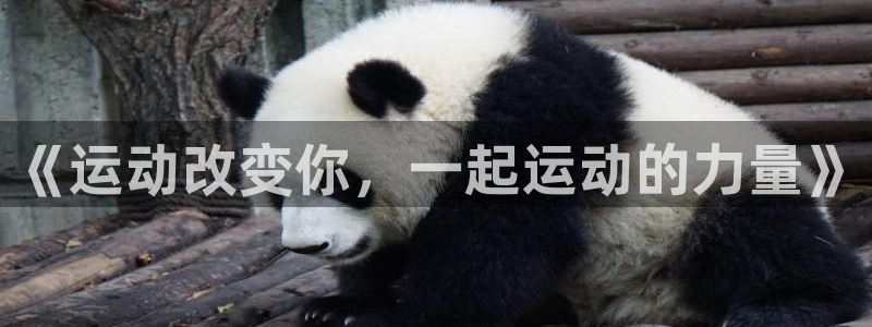 ug环球官网注册：《运动改变你，一起运动的力量》