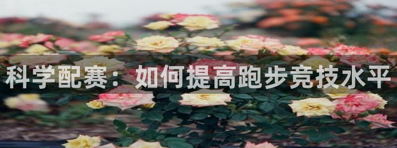 ug环球官网登录入口：科学配赛：如何提高跑步竞技水平