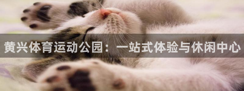 菲律宾ug环球官网：黄兴体育运动公园：一站式体验与休闲中心