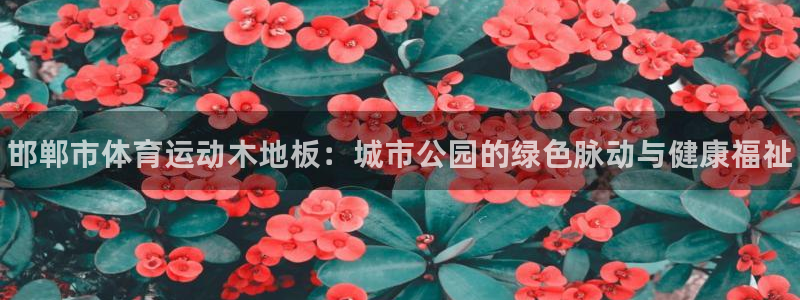 ug环球官网登录入口：邯郸市体育运动木地板：城市公园的绿色脉动与健康福祉