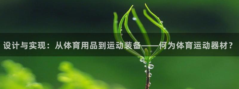 ug环球官网注册：设计与实现：从体育用品到运动装备——何为体育运动器材？