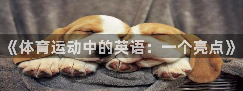 菲律宾ug环球官网：《体育运动中的英语：一个亮点》