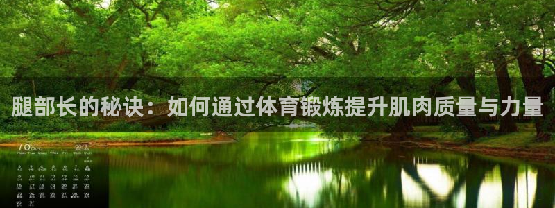 ug环球官网：腿部长的秘诀：如何通过体育锻炼提升肌肉质量与力量