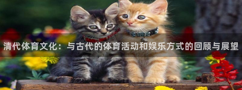 ug环球官网登录入口：清代体育文化：与古代的体育活动和娱乐方式的回顾与展望