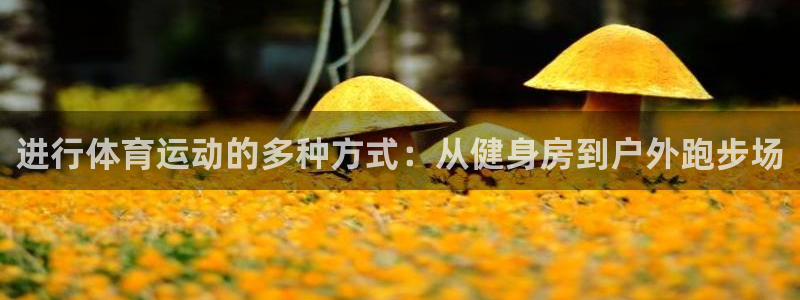 ug环球官网登录入口：进行体育运动的多种方式：从健身房到户外跑步场