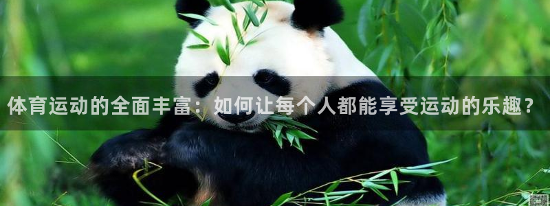 ug环球官网：体育运动的全面丰富：如何让每个人都能享受运动的乐趣？