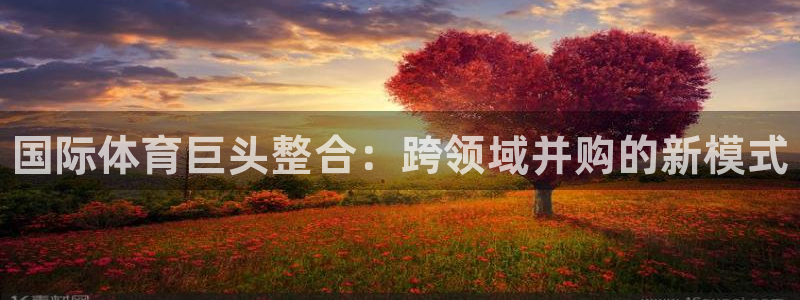ug环球官网登录入口：国际体育巨头整合：跨领域并购的新模式