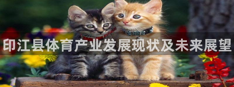ug环球官网登录入口