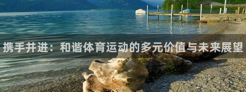 ug环球官网注册：携手并进：和谐体育运动的多元价值与未来展望