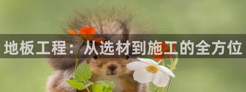 ug环球官网注册：地板工程：从选材到施工的全方位
