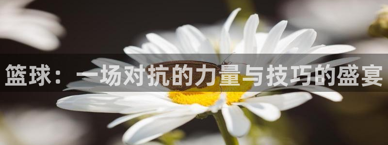 ug环球官网注册：篮球：一场对抗的力量与技巧的盛宴