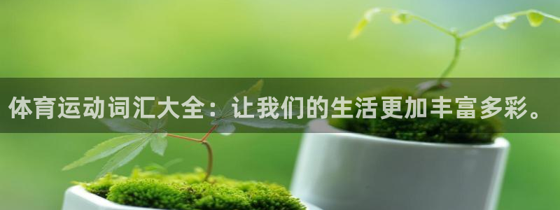 ug环球官网登录入口：体育运动词汇大全：让我们的生活更加丰富多彩。