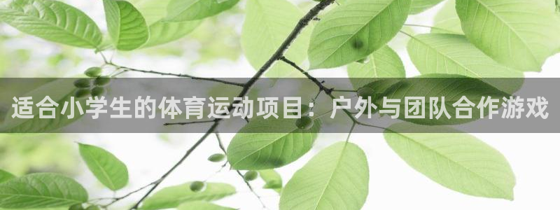 ug环球官网：适合小学生的体育运动项目：户外与团队合作游戏