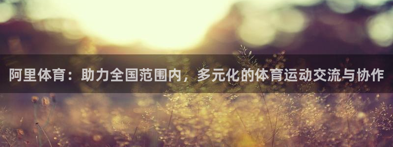 ug环球官网注册：阿里体育：助力全国范围内，多元化的体育运动交流与协作
