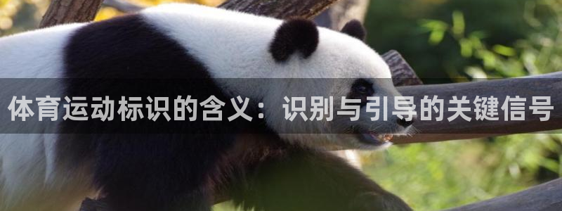 ug环球官网：体育运动标识的含义：识别与引导的关键信号