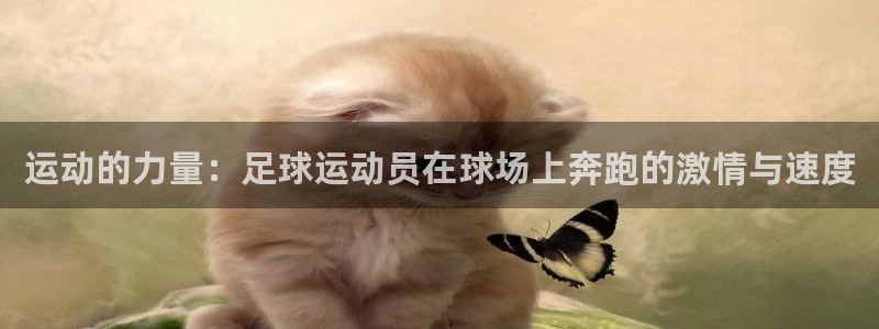 ug环球官网注册