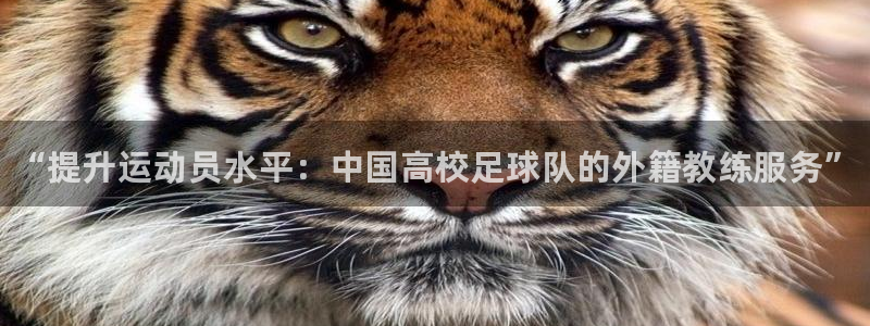 ug环球官网登录入口